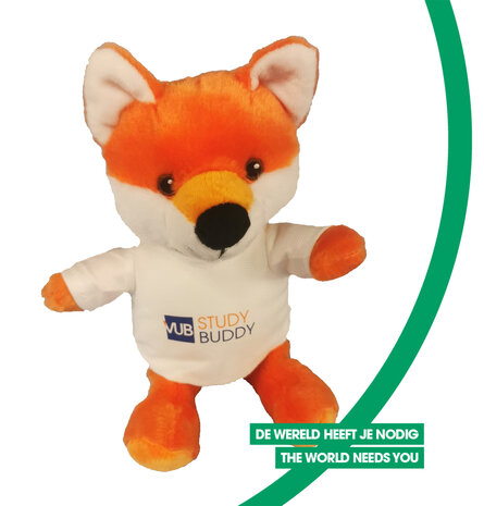 Knuffelvos bovenaanzicht met opschrift study buddy