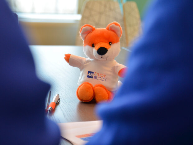 Knuffelvos als study buddy