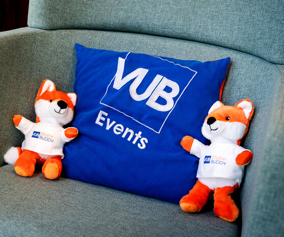 Kussentje met knuffelvossen