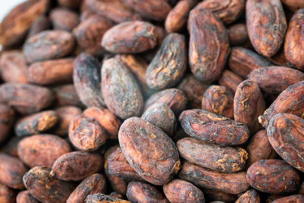 Chocolade VUB