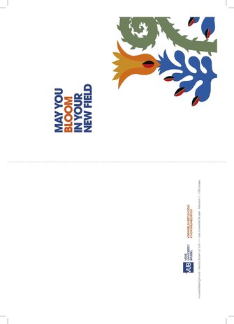 Cadeaupakket (ingepakt, variant 4)