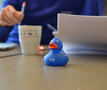 Rubber ducks